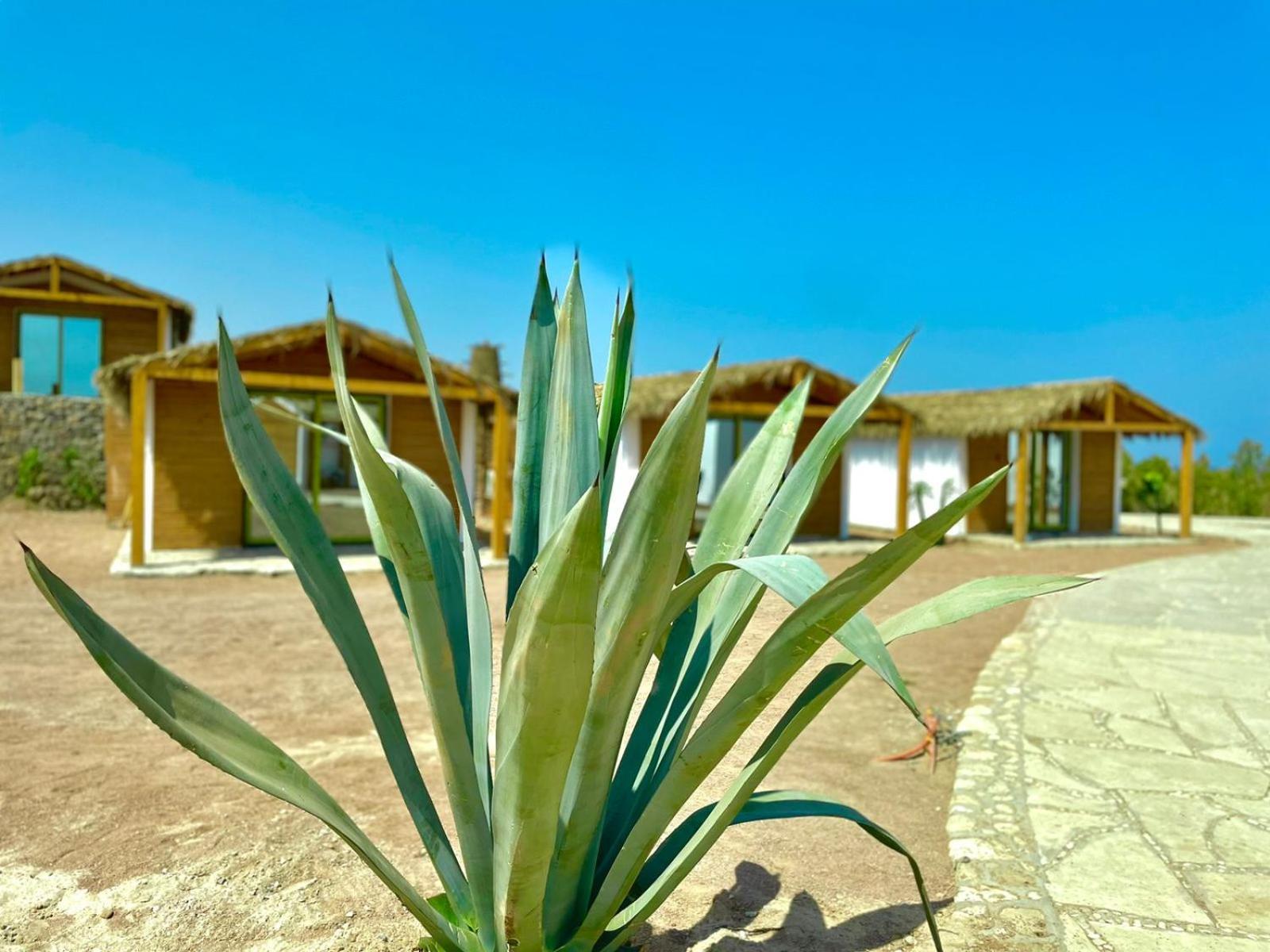 Ananda Beach Camp Nuweiba` Zewnętrze zdjęcie